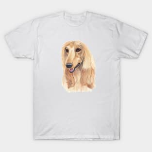 Afghan Hound - A T-Shirt